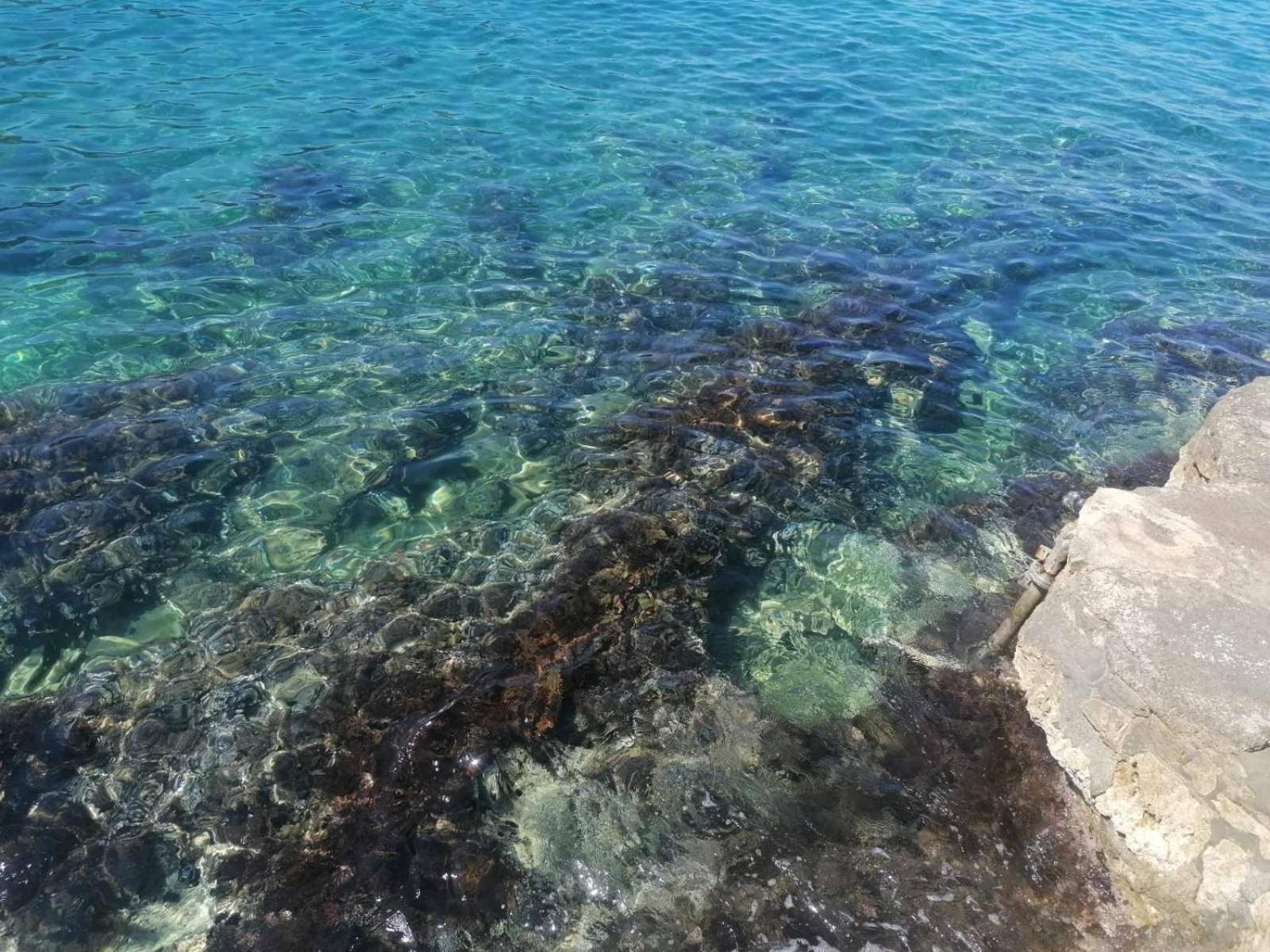 Apartmani Lux Sea 尤塔哈 外观 照片